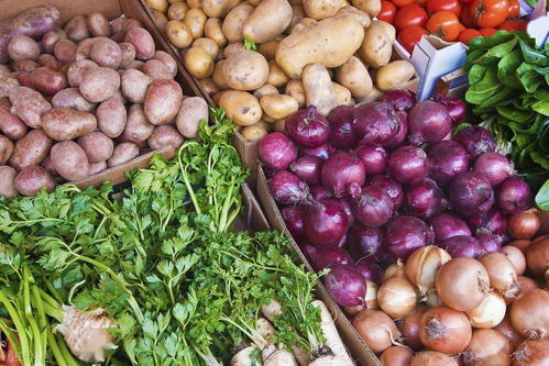 从地头到餐桌 食用农产品安全全程护航步骤解析