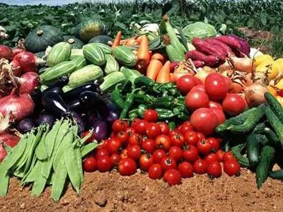 6月起广州新政重磅来袭 房市调控与农产品安全双管齐下，与你息息相关！